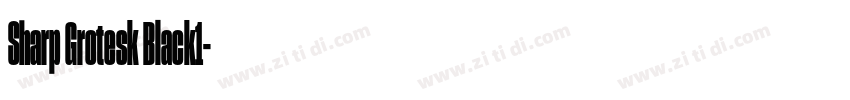 Sharp Grotesk Black1字体转换 Sharp Grotesk Black1字体转换